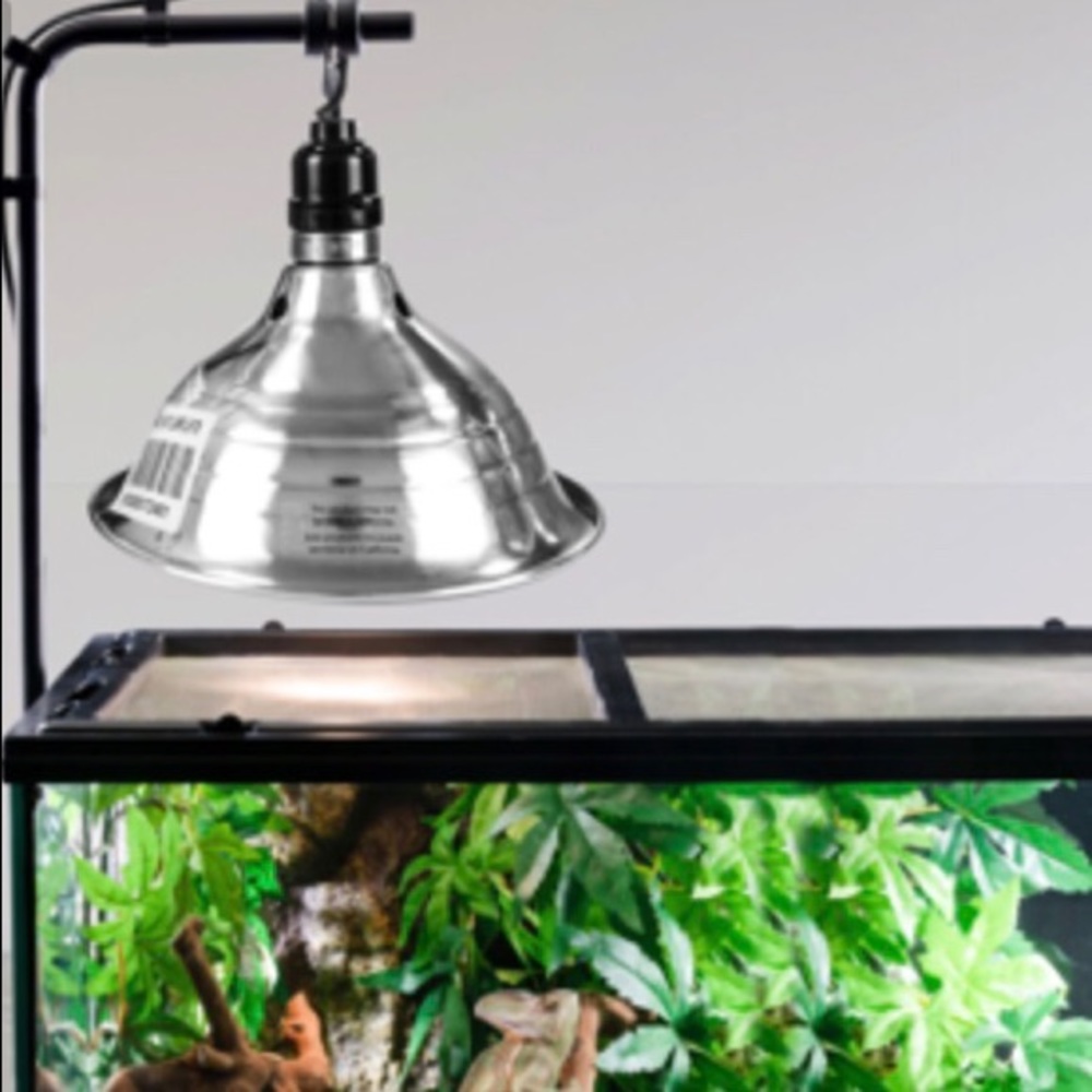 Simple Deluxe Dome reptile light.  Clamp fixture